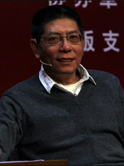 陈嘉映