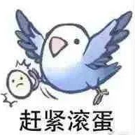 不会擦屁股