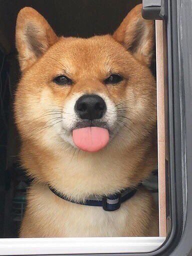 苏青