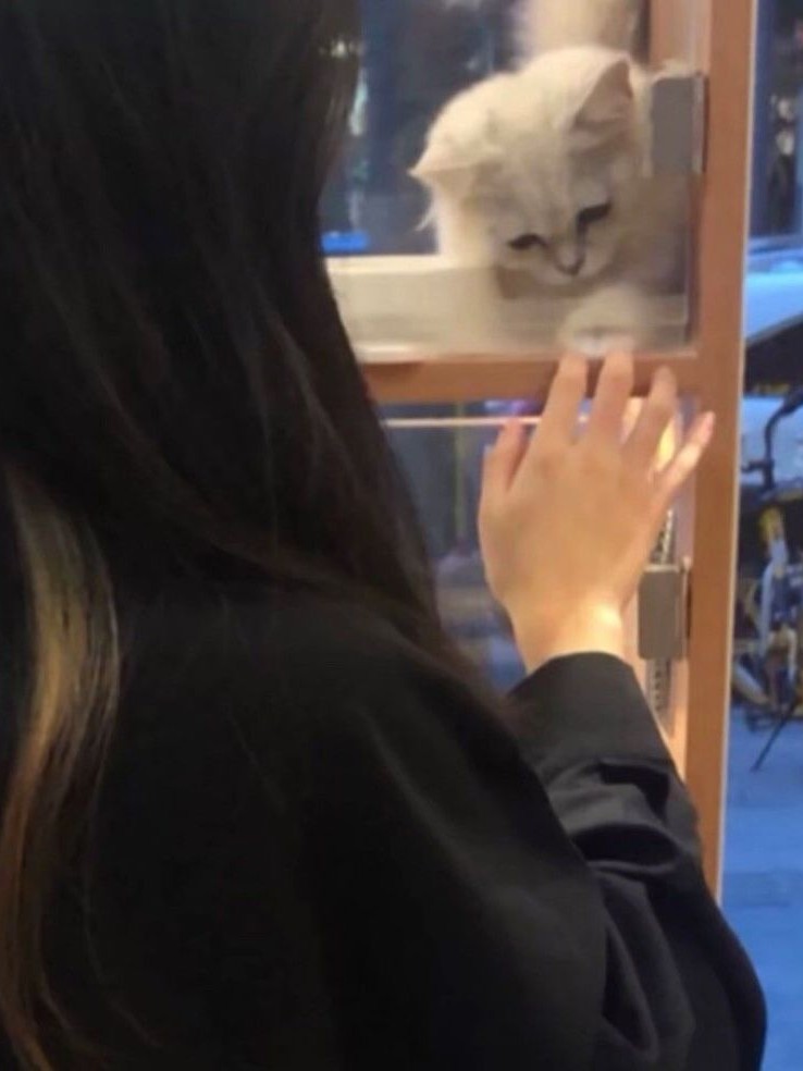 杼柚.