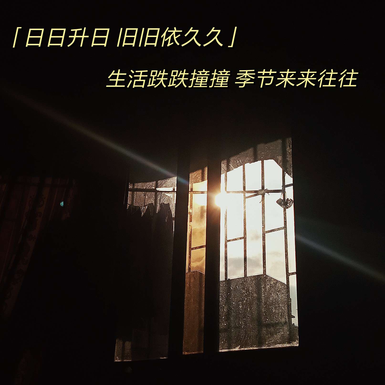 染紫