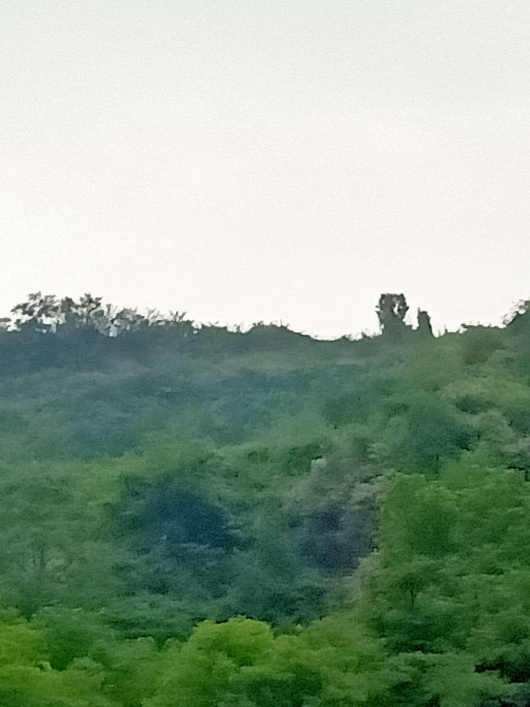 人太懒