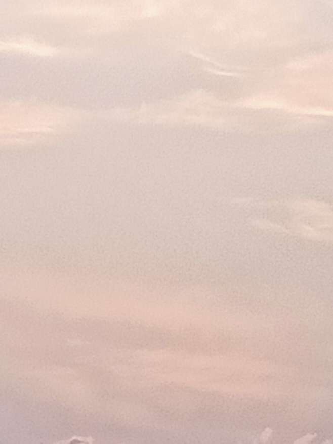 千鲤鲤