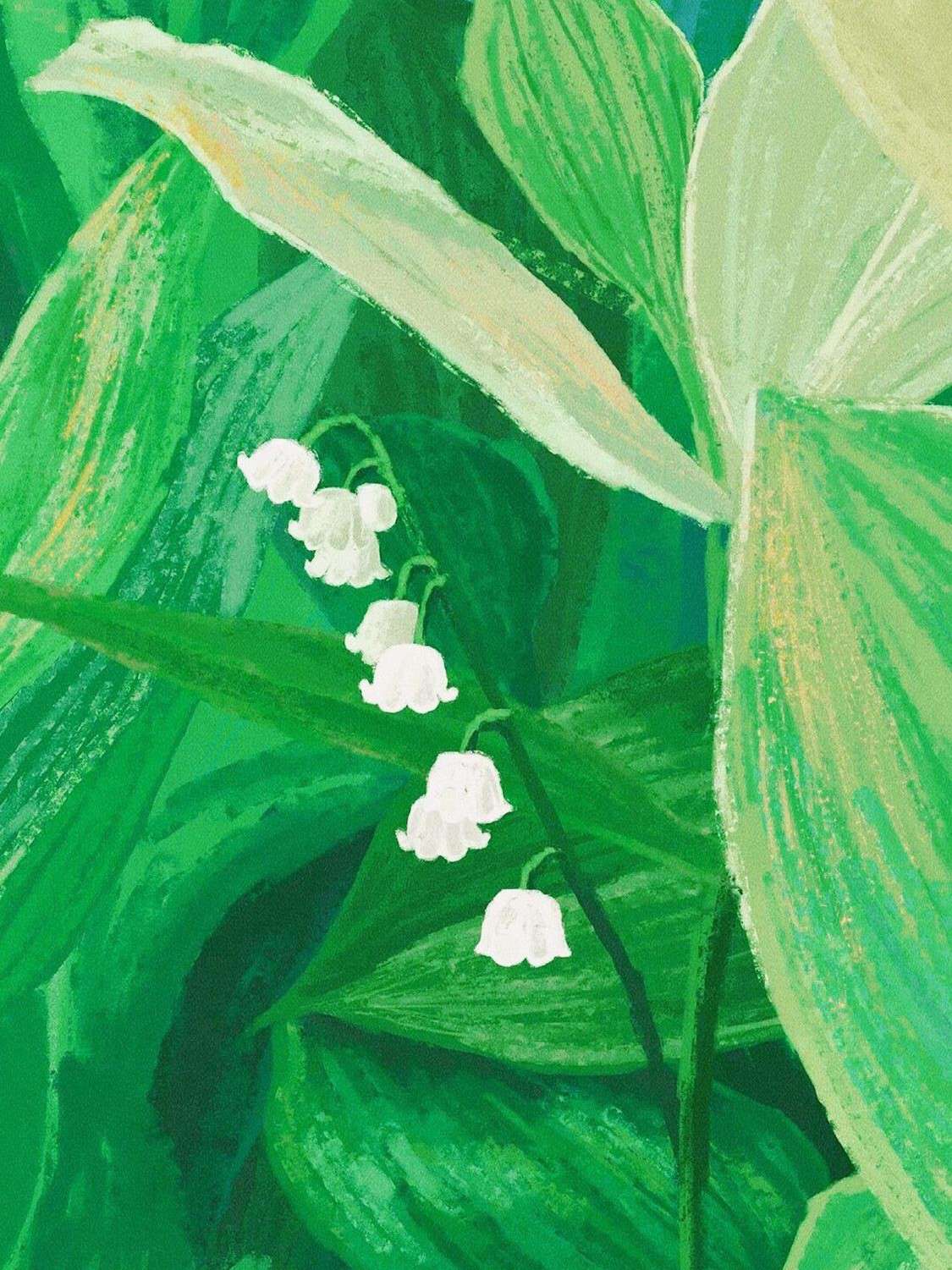 傅雁眉
