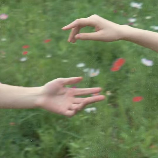枳花卿卿
