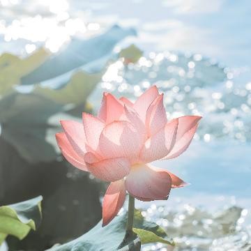 水点饭
