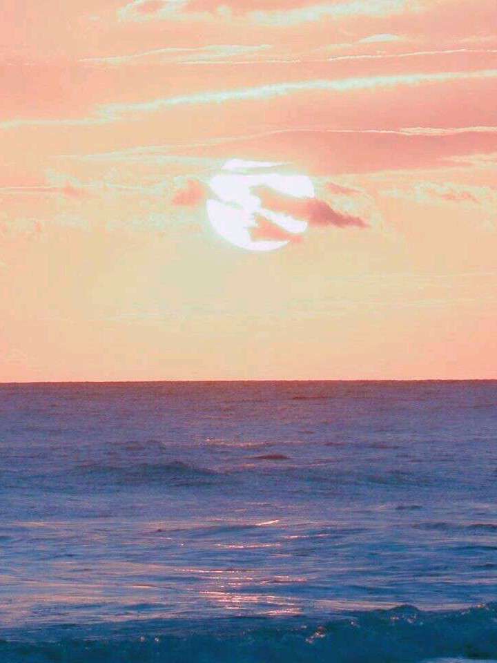 林北叶
