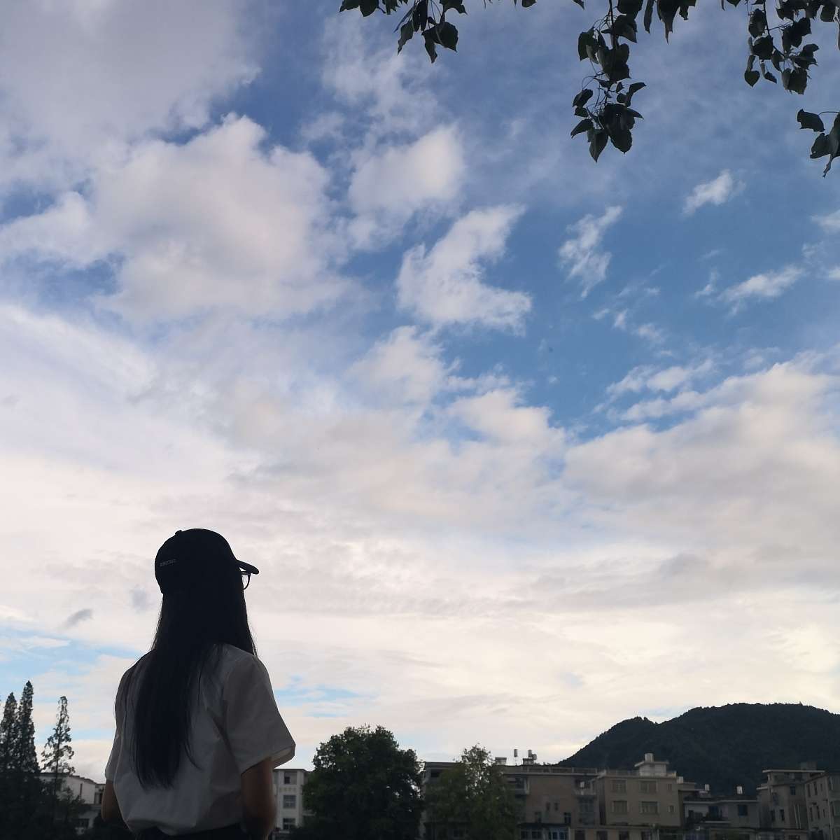 砚竹