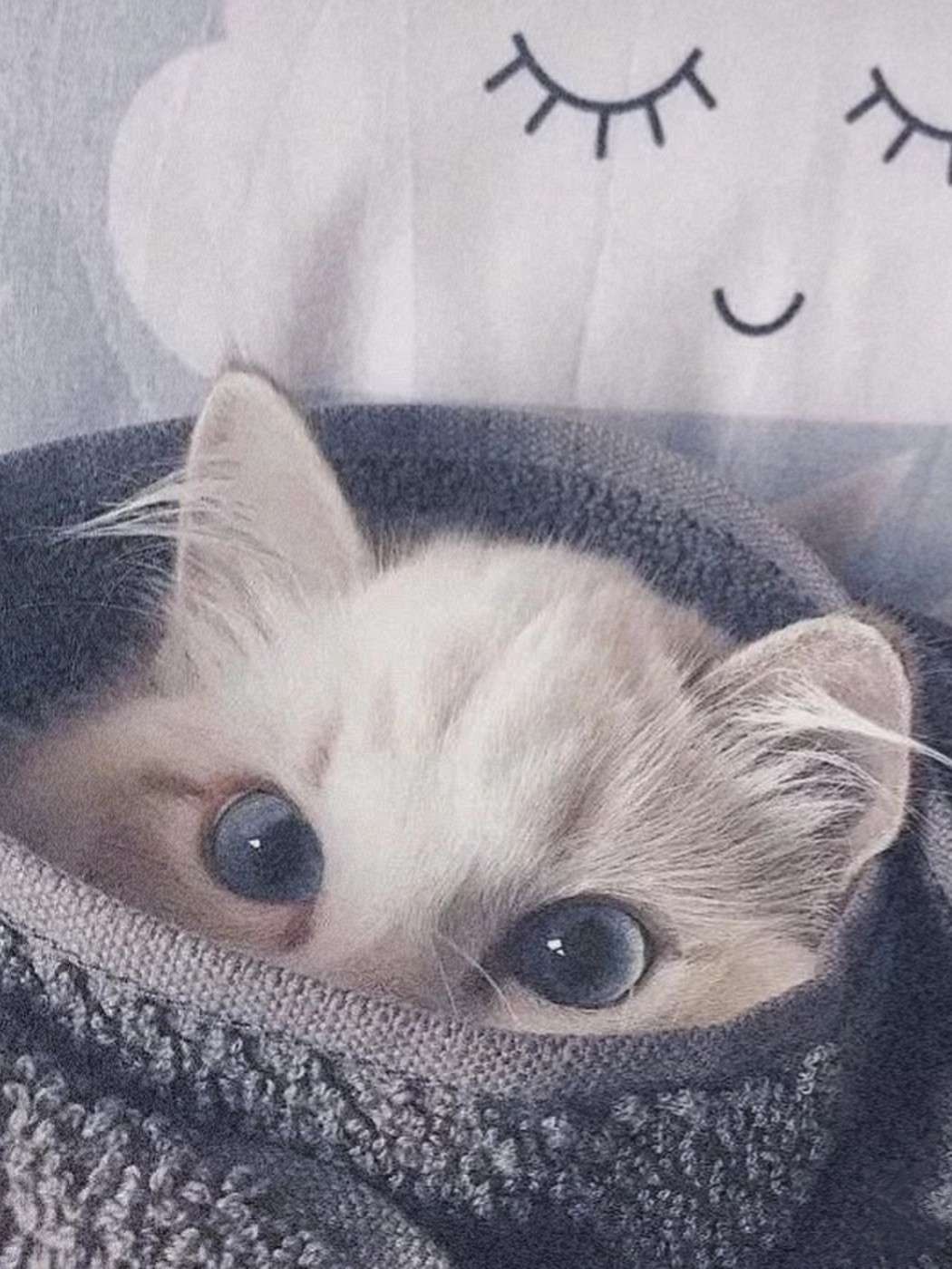 SYJ