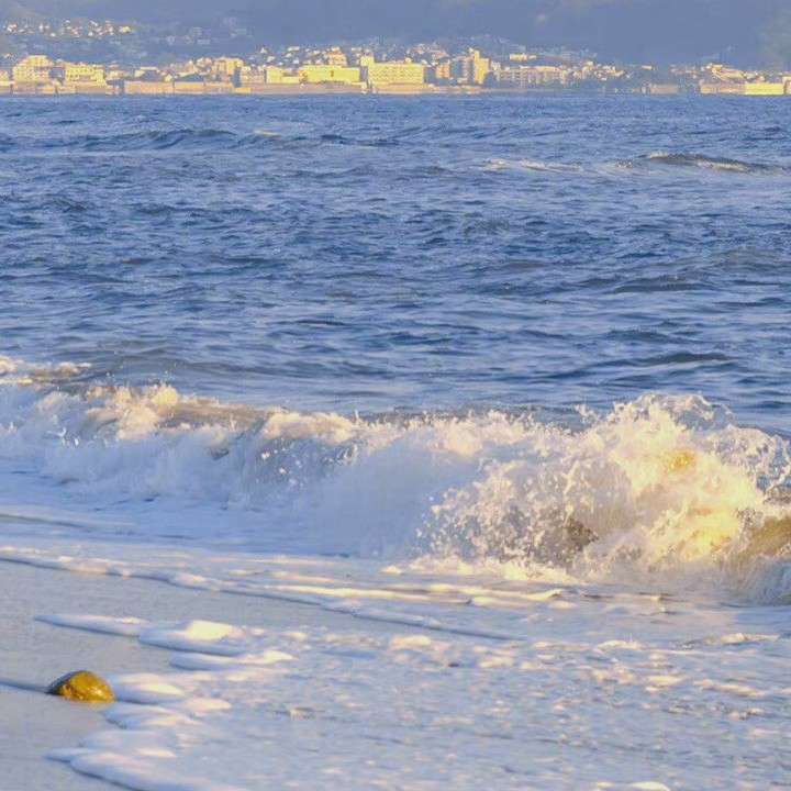 浅