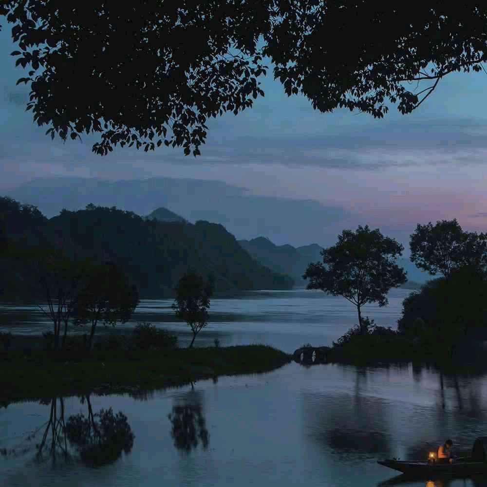 陈帆