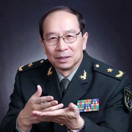 金一南