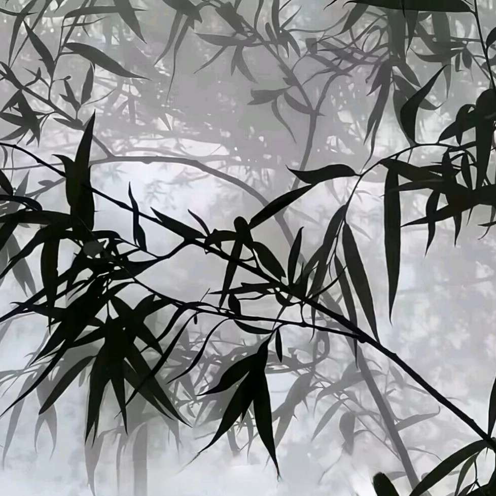 李旧安