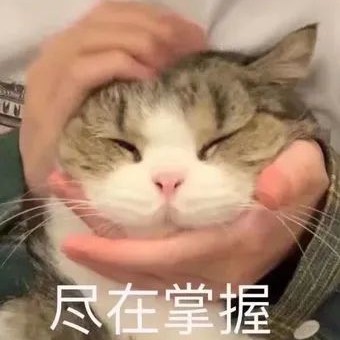 Alex烁