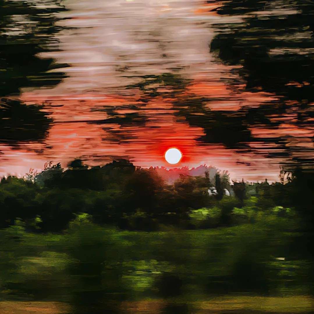 花予雾