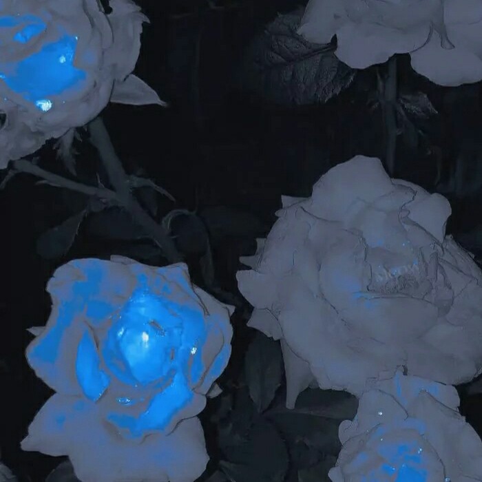 MLXMJ