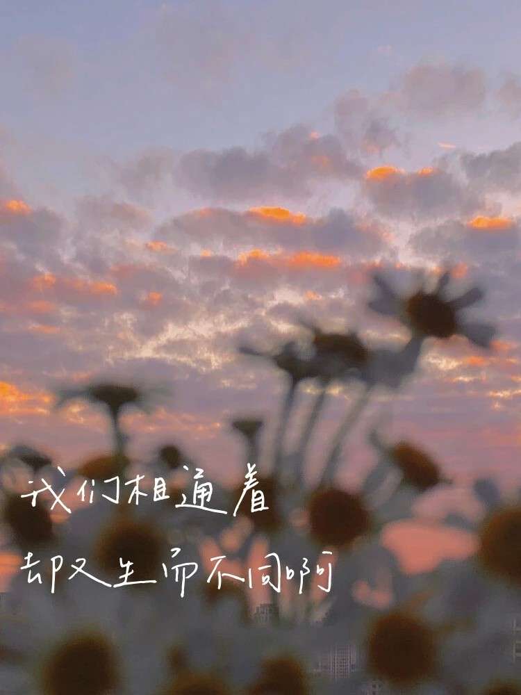 山河万色