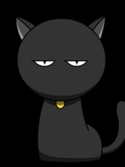 一只憨状可掬的猫