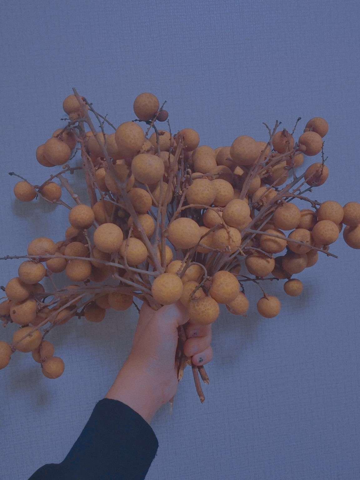 是孽小七吖