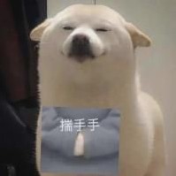 每日短句