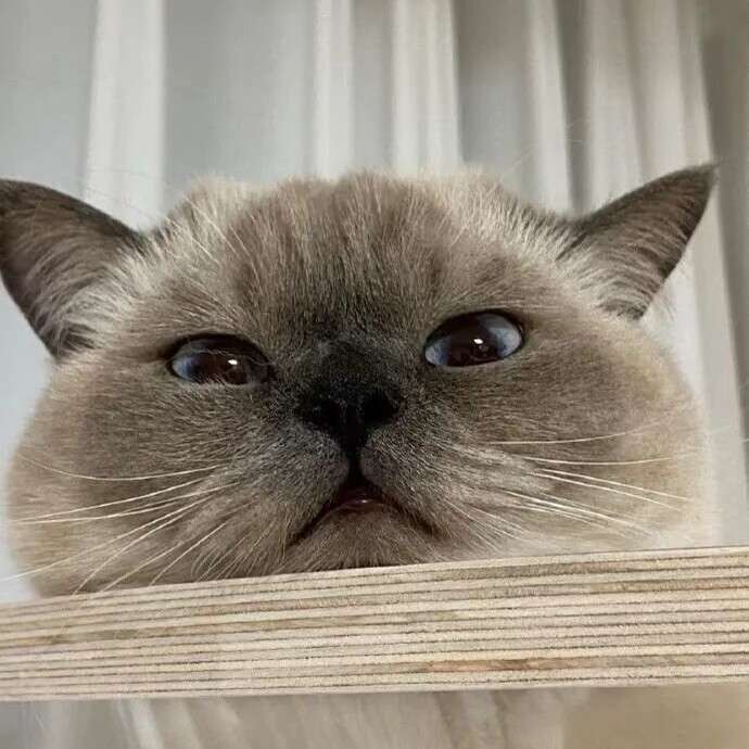 落郴