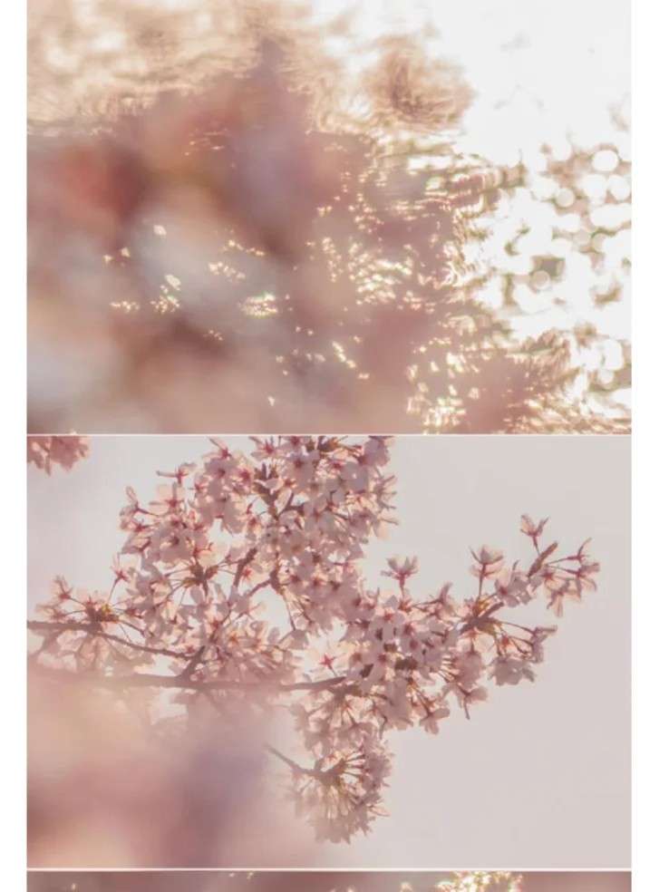 403