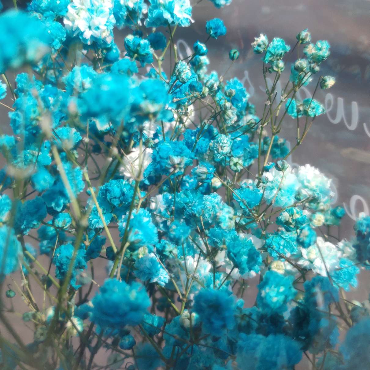 帆船