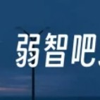 弱智吧