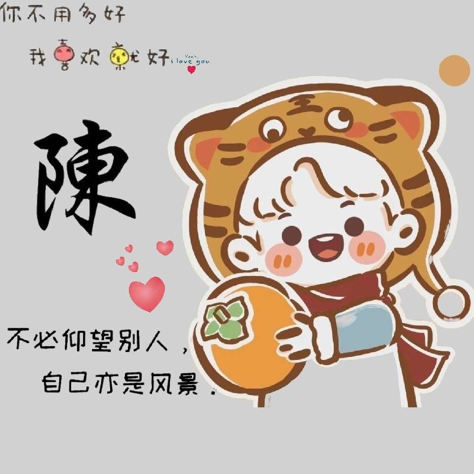 陈韶强
