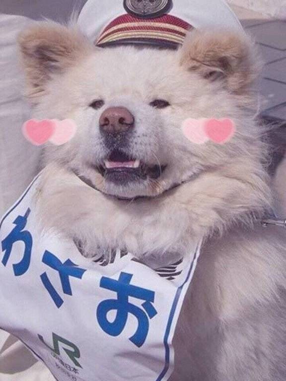 光同尘