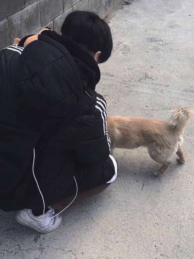 刘文强