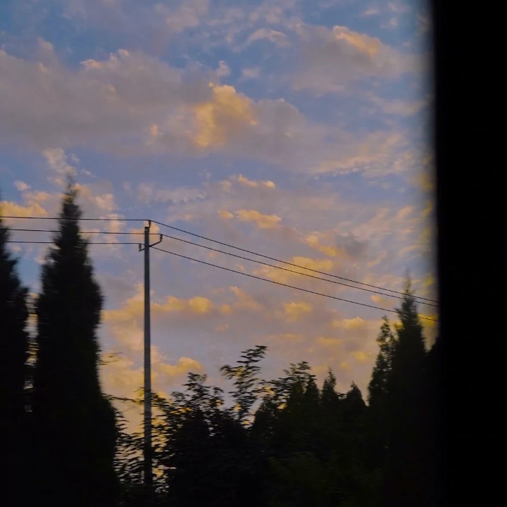 自己