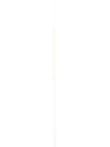 霏霏我心