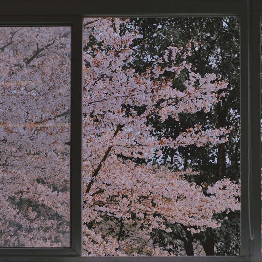 佚名