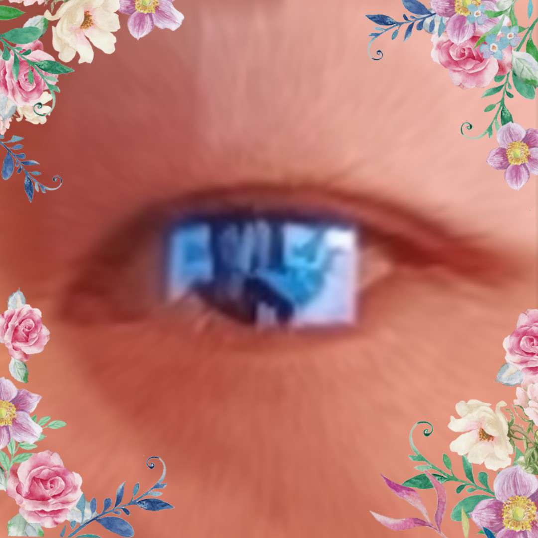 阅世之眼
