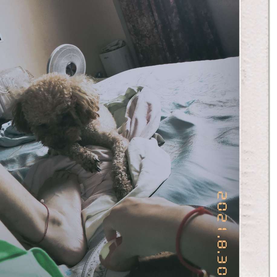 张喵汪