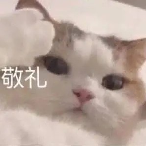 网友