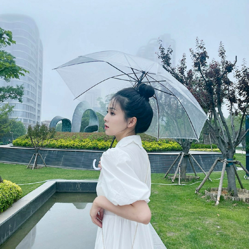 白鹿