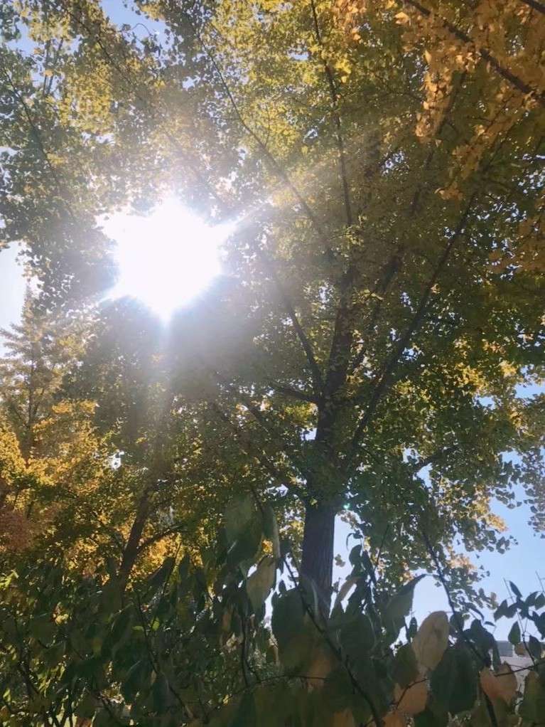 罗元