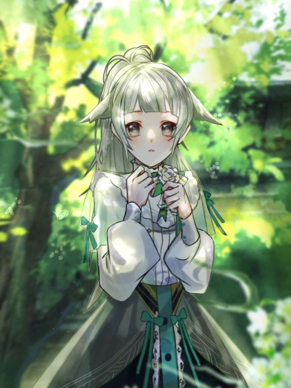 星柔