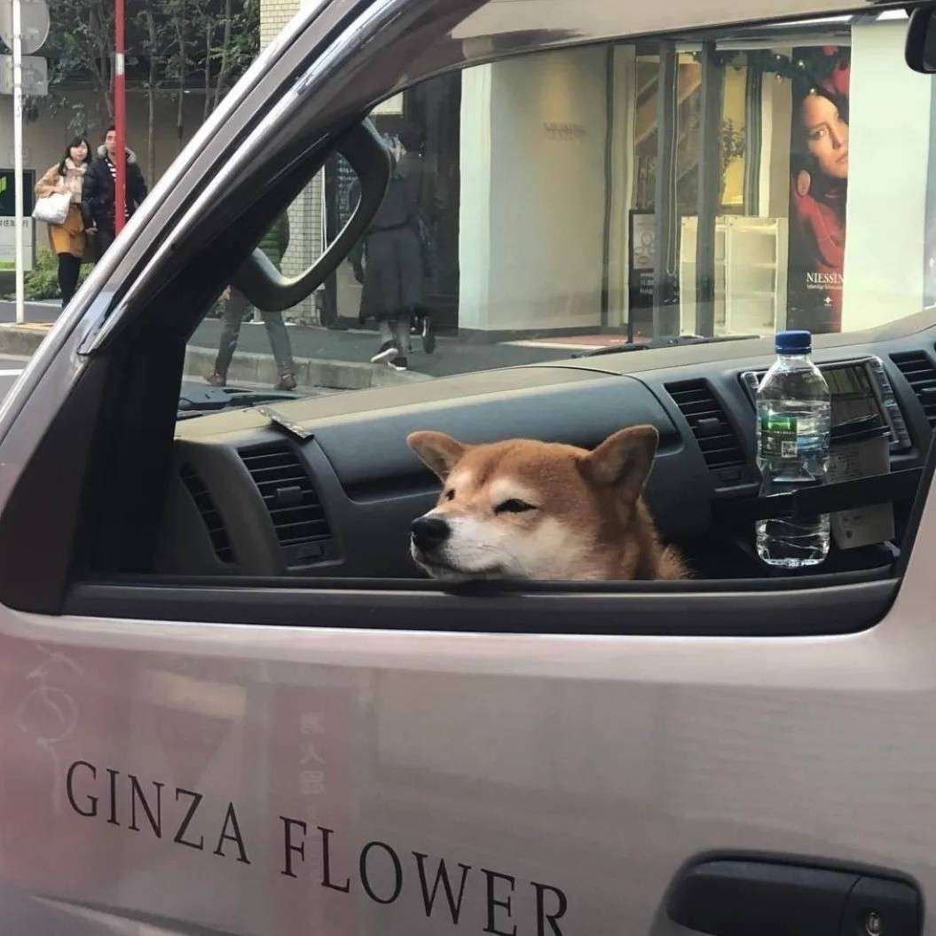 图南