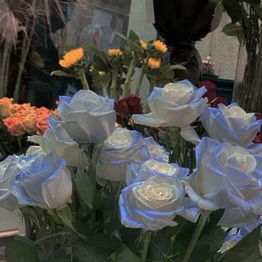 自己