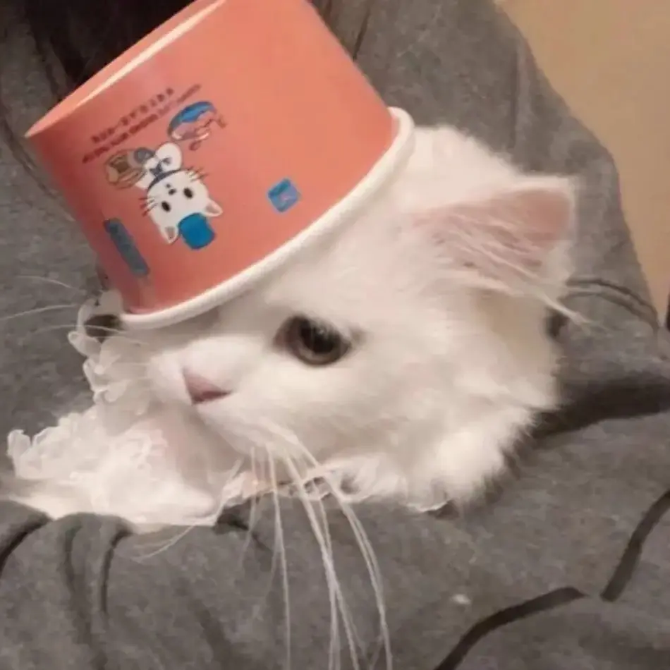 葵葵子