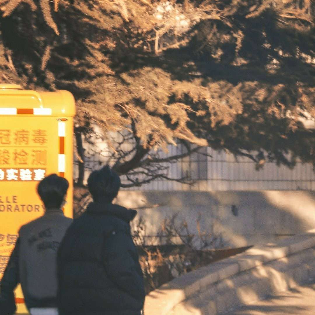 霖兔子的小熊软糖