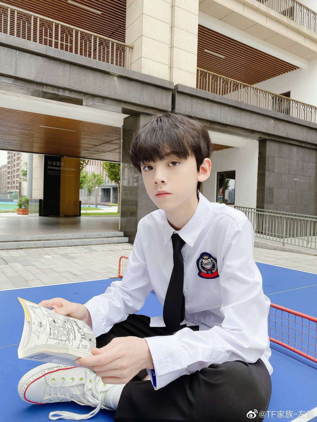 TF家族-左航