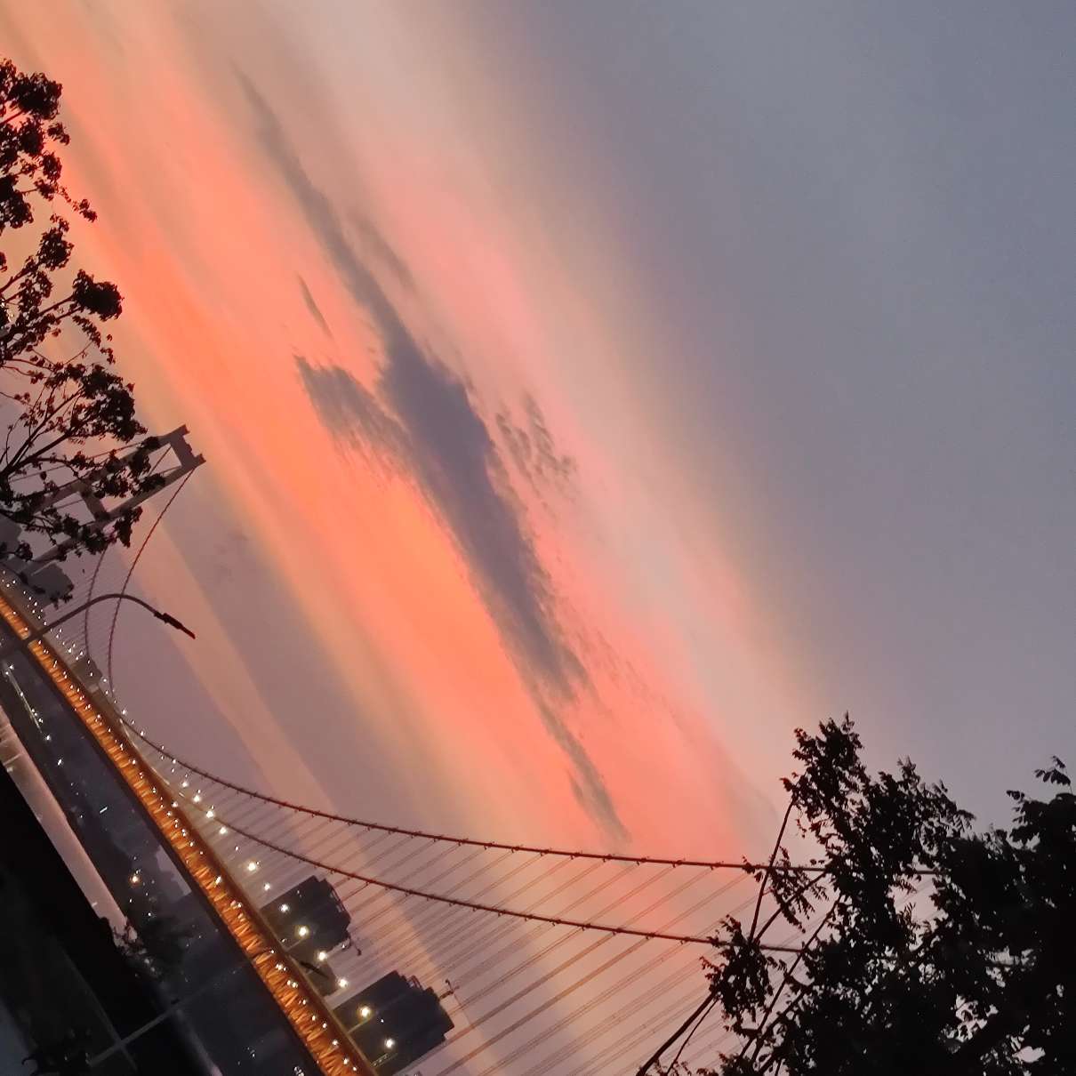 何秋白