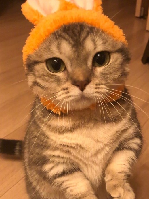 寂静吾欢