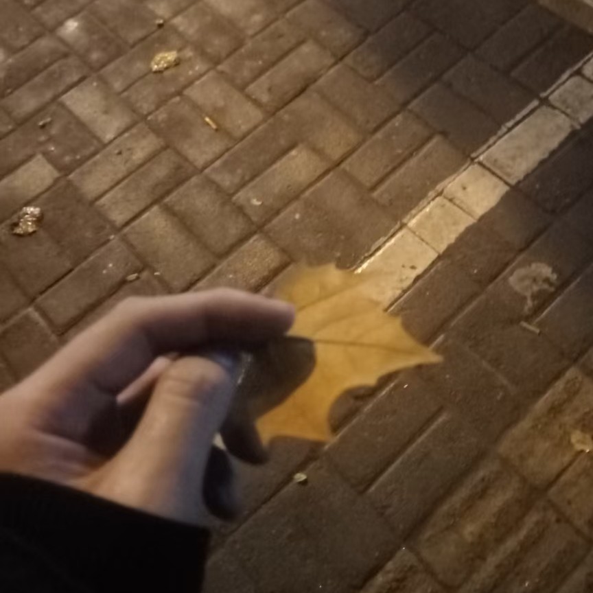 诗句