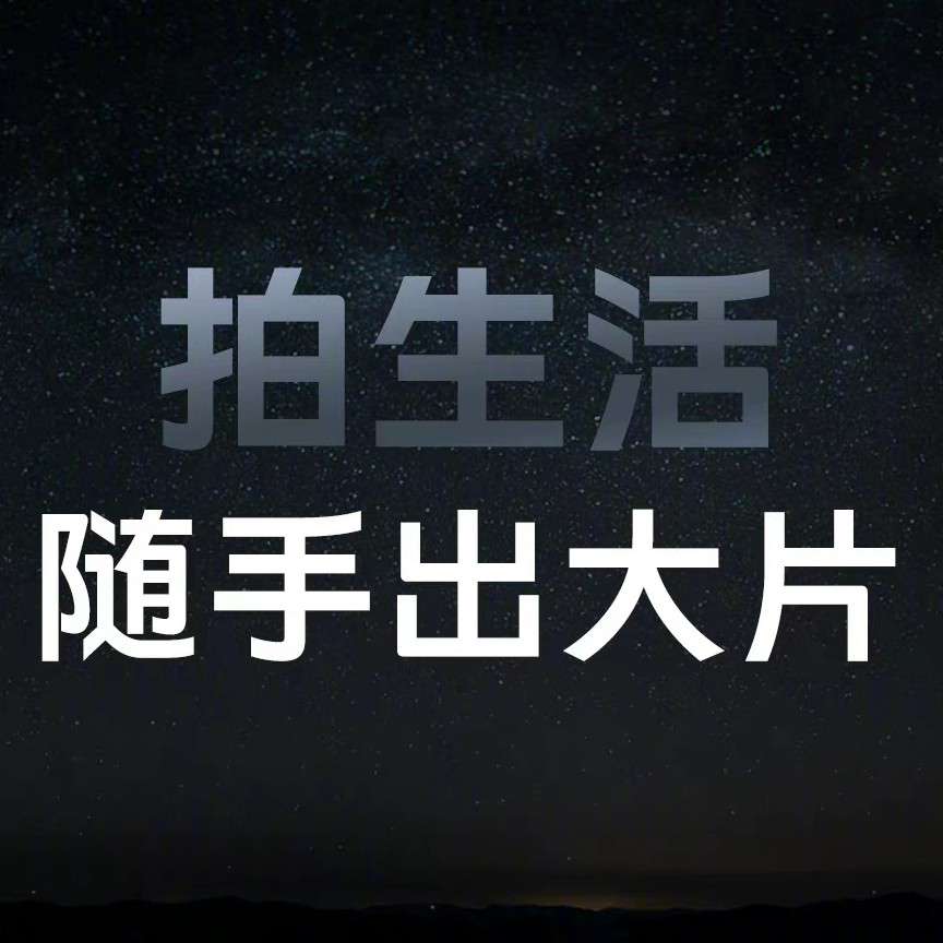 活动家