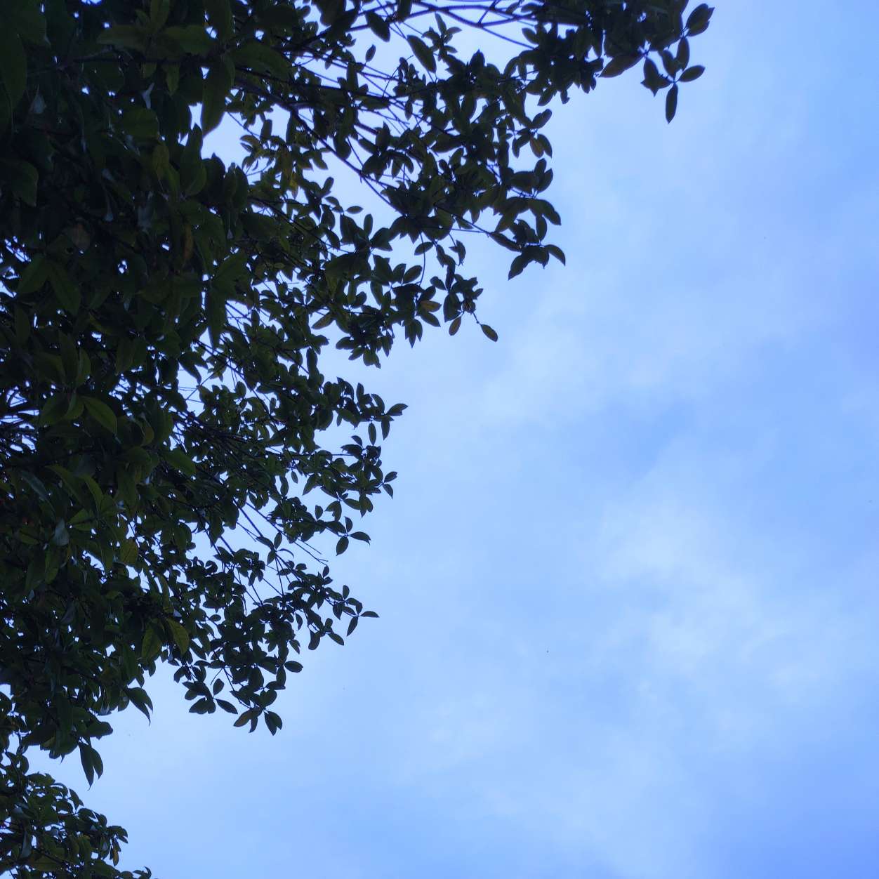 郭成